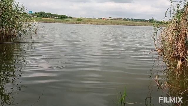 Рыбалка в деревне на пруду!/Ловля карася) смотреть онлайн