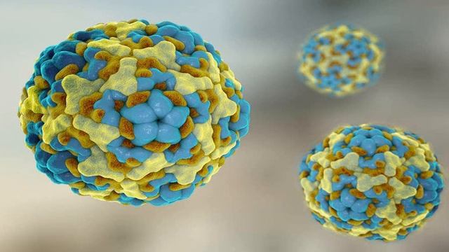 Мама начинающая