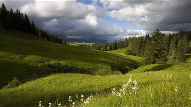 Колоссянам 2 смотреть онлайн