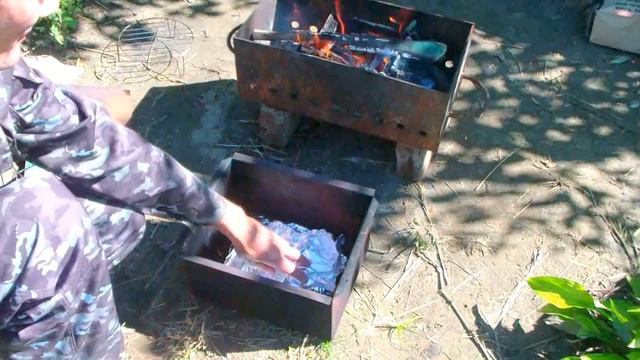 Наука о Здоровье и Жизни