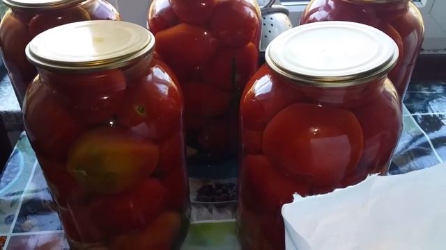 МАРИНОВАННЫЕ ПОМИДОРЫ ОЧЕНЬ ВКУСНЫЕ смотреть онлайн