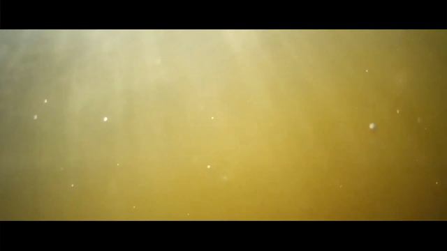 Клинцы - Затишье