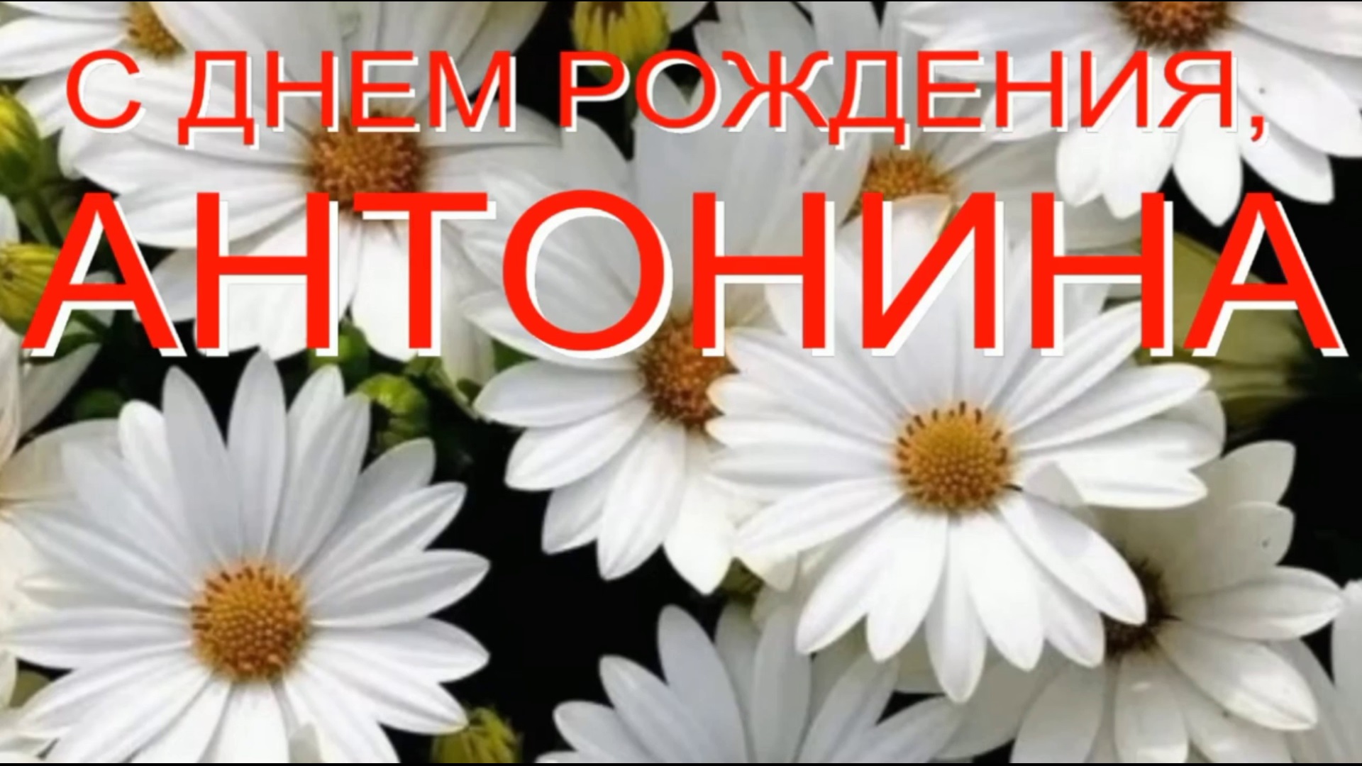 АНТОНИНА, С ДНЕМ РОЖДЕНИЯ смотреть онлайн