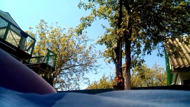 Что происходит на нашей даче утром смотреть онлайн