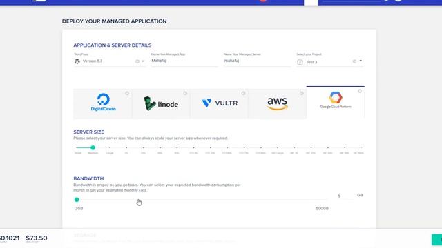 Best Managed WordPress Hosting - Cloudways ? Cloud Hosting Service смотреть онлайн