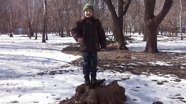 Ф. И. Тютчев «Зима недаром злится...» смотреть онлайн