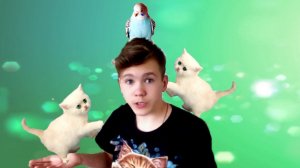 КОТЯТА ИГРАЮТ С ВОЛНИСТЫМ ПОПУГАЙЧИКОМ