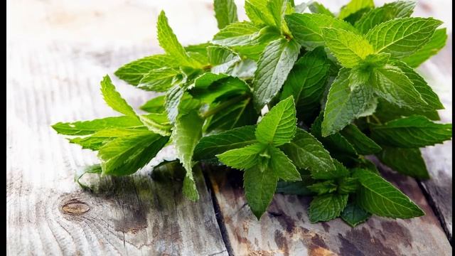 Выведет большие камни из желчного пузыря травяной рецепт. смотреть онлайн