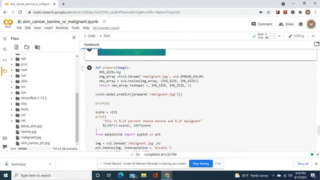 Skin Cancer Image Classification with two methods of prediction with the 2nd method both were right смотреть онлайн