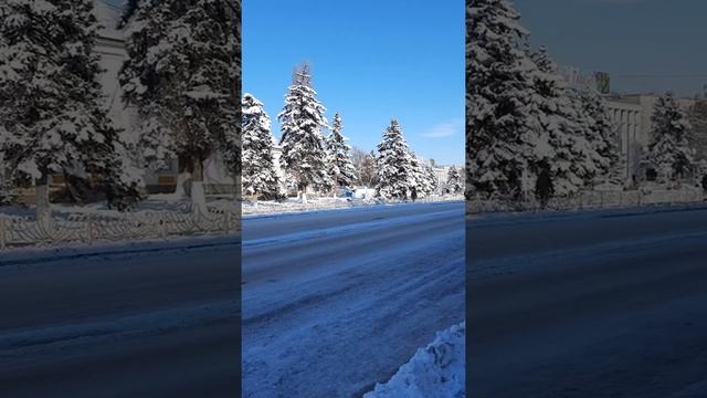 Красивые зимние ели в снегу. смотреть онлайн