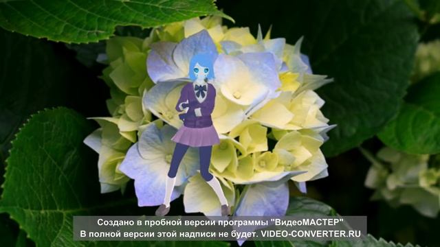 Финская полька в исполнении Эни смотреть онлайн