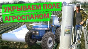 Агроспан и ранний урожай