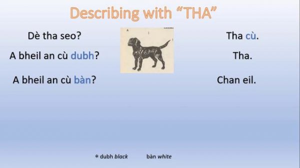 Scottish Gaelic Lesson 1: Answer "Yes" or "No" to simple questions