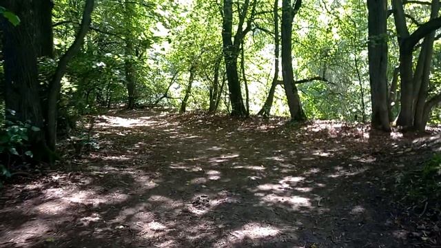 ЦНЯНКА! ШИКАРНОЕ МЕСТО ДЛЯ ОТДЫХА! ЗАКЛЮЧЕНИЕ! TSNYANKA! A GREAT PLACE TO RELAX! CONCLUSION! смотреть онлайн