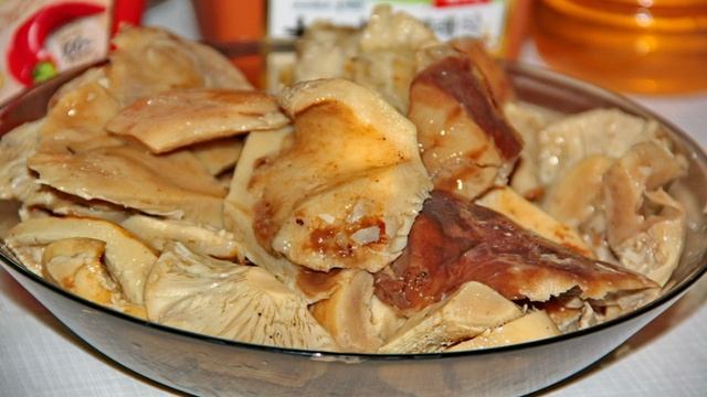 Сборник рецептов