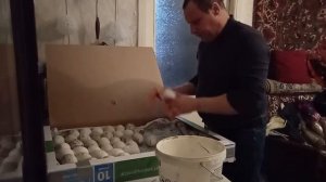 ЗАКЛАДКА ГУСИНЫХ ЯИЦ в ИНКУБАТОР