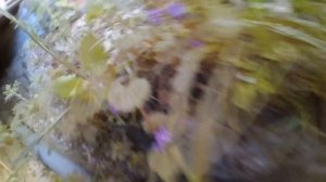 СЛИВ ДЛЯ БАНИ В БОЧКУ