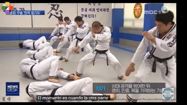 Hapkido Ji Han Jae Do