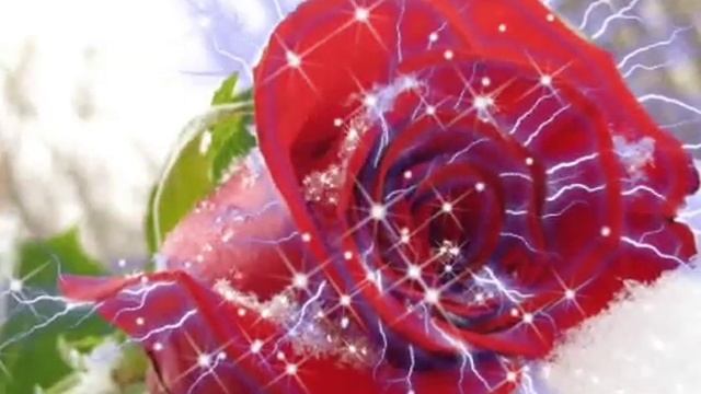 ПОЗДРАВЛЯЮ, С ДНЕМ РОЖДЕНИЯ,ТЕБЯ!!