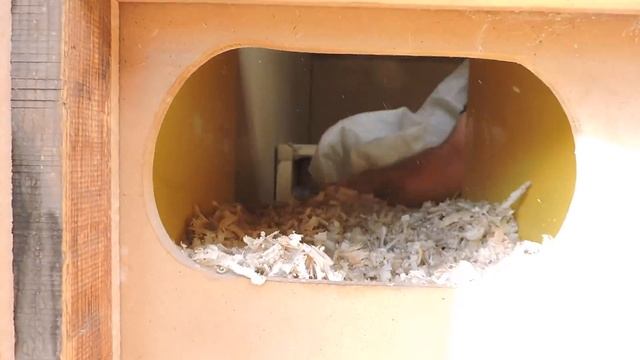 ЧЕМ КОРМИТЬ КУР? | ИЗМЕНЕНИЕ В КУРЯТНИКЕ смотреть онлайн