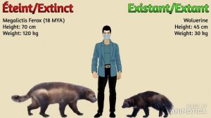 The ULTIMATE Animal Size Comparison Cooperation Megafauna (Unmix 2) [Peter Axewton Only]