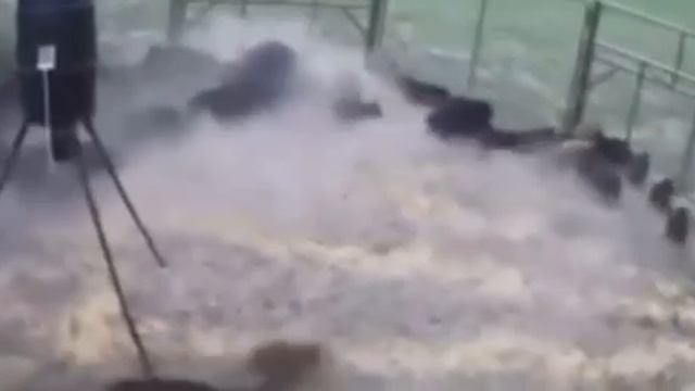 Воздушная тревога смотреть онлайн