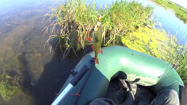 Обзор спиннинга Norstream Micromania 662 UL