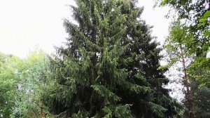 Санаторий Егнышовка. Тульская область.