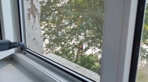 Помыла окно с помощью пароочистителя Kitfort KT-917