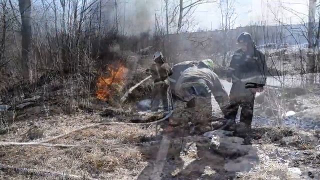 Бережём лес от пожара! смотреть онлайн