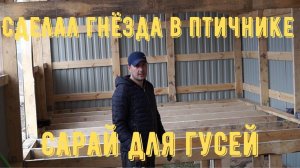 В птичнике появились гнезда.[Жизнь в деревне]