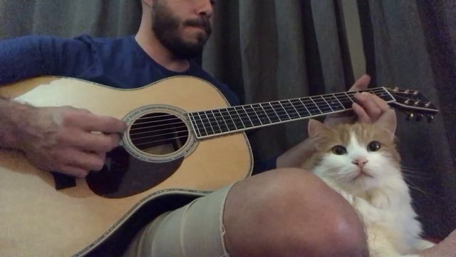 Tarde de invierno con mi gato Max  Sigma SOMR-45V Guitar