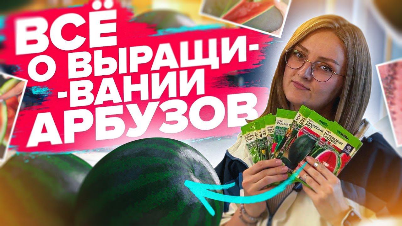 У ВАС ТОЧНО ВЫРАСТЕТ АРБУЗ! Все о выращивании арбузов смотреть онлайн