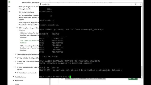 04 DG Snapshot Standby database смотреть онлайн