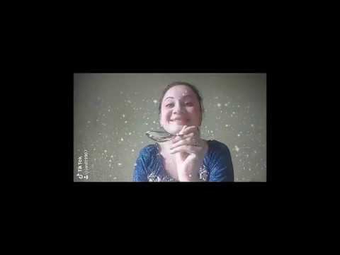 Филармония дома. Яна Сафронова смотреть онлайн