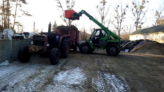 Погрузчик MERLO и кормораздатчик VMix PLUS в работе на ферме в Польше смотреть онлайн