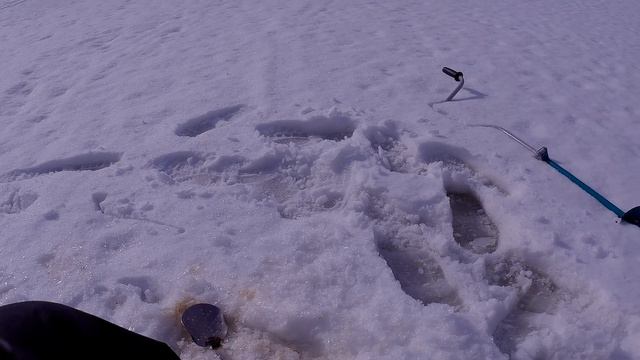 Ловля со льда весной смотреть онлайн