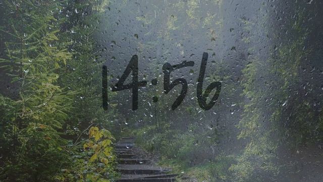 30 Minute Timer With Rain Sounds