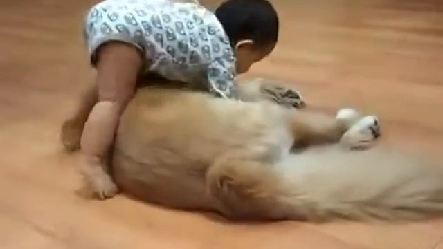 Baby Fights #1 Puppy Power смотреть онлайн