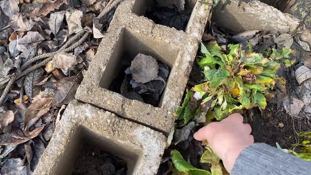 23.03.23. Радуюсь растениям из под снега. Ну и традиционно опять с плит перекрытия собираем воду. смотреть онлайн