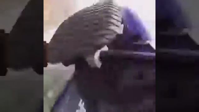 Чуть не засосало в лопасти корабля