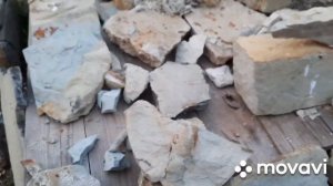 НОЕВ КОВЧЕГ/Новая уникальная находка/1/