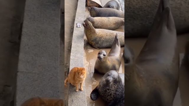 2022-11-14 смотреть онлайн