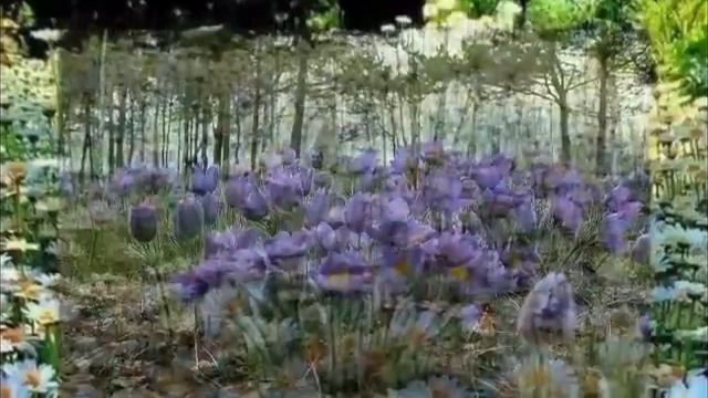 Весенние настроение🎼🎵🎶Красивая музыка смотреть онлайн