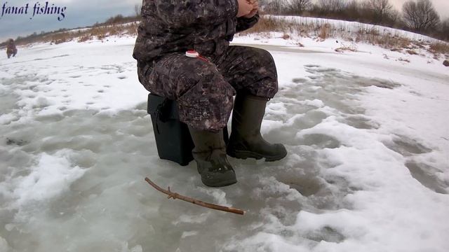 Зимняя рыбалка в оттепель. Клёв только на две мормышки.
