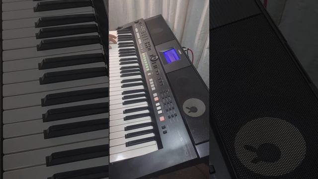 Folkrock Yamaha Psr S650