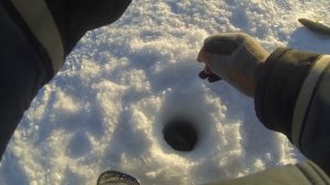 Ехали на Салтаим за окунем, а половили СУДАКА!!! Рыбалка озеро Салтаим, Омская область, 2022