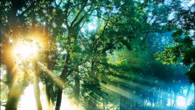 Music For Meditation, Relaxation, Strong Pleasant Sleep.A Quiet Thought - Wayne Jones