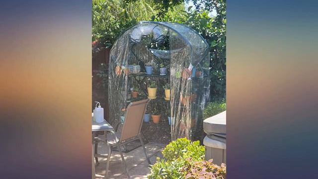 Flower House FHXUPL-SC Storage//Flower Forcer Cover for Harvest Greenhouse, X-Up review смотреть онлайн