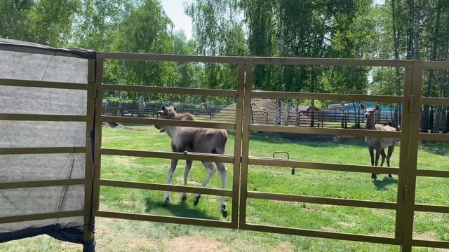 19 мая 2021 г. смотреть онлайн